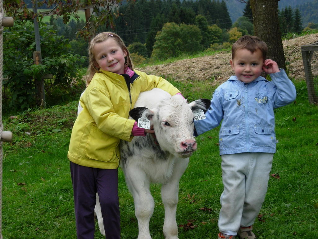 Biobauernhof Mittermoos