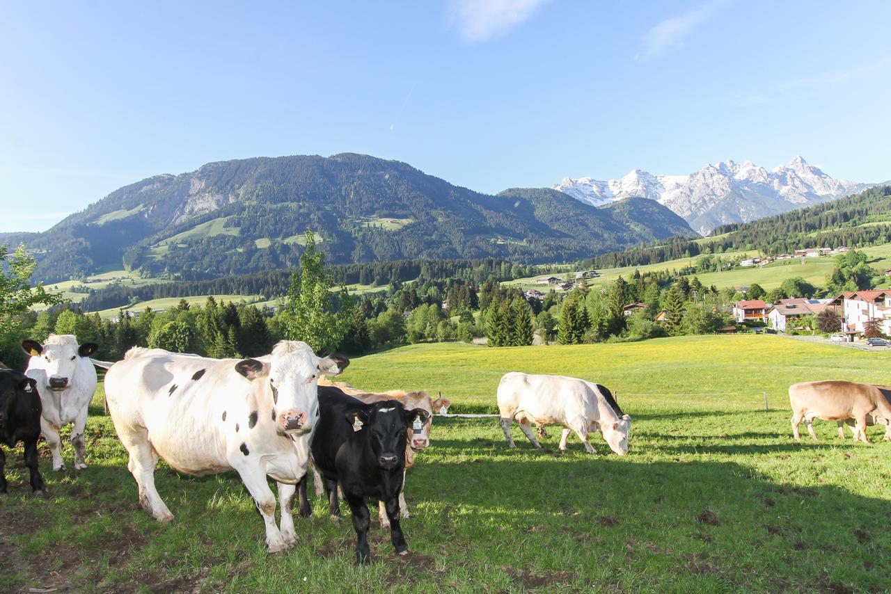 Biobauernhof Mittermoos * Fieberbrunn